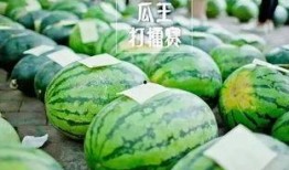 热门大瓜每日大赛